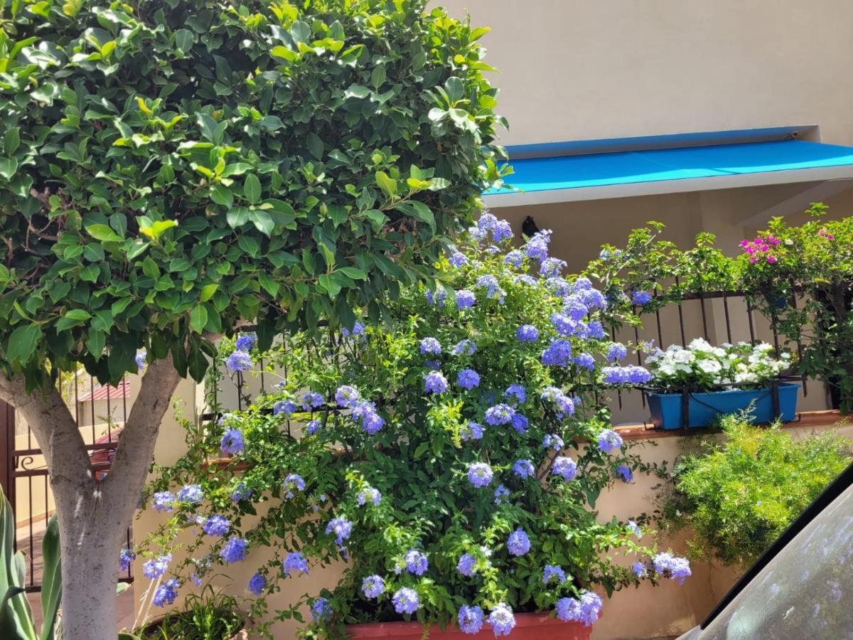 טרופאה My Little House - Appartamento Con Patio E Parcheggio Privato A 5 Minuti Dalla Spiaggia E Dal Centro מראה חיצוני תמונה