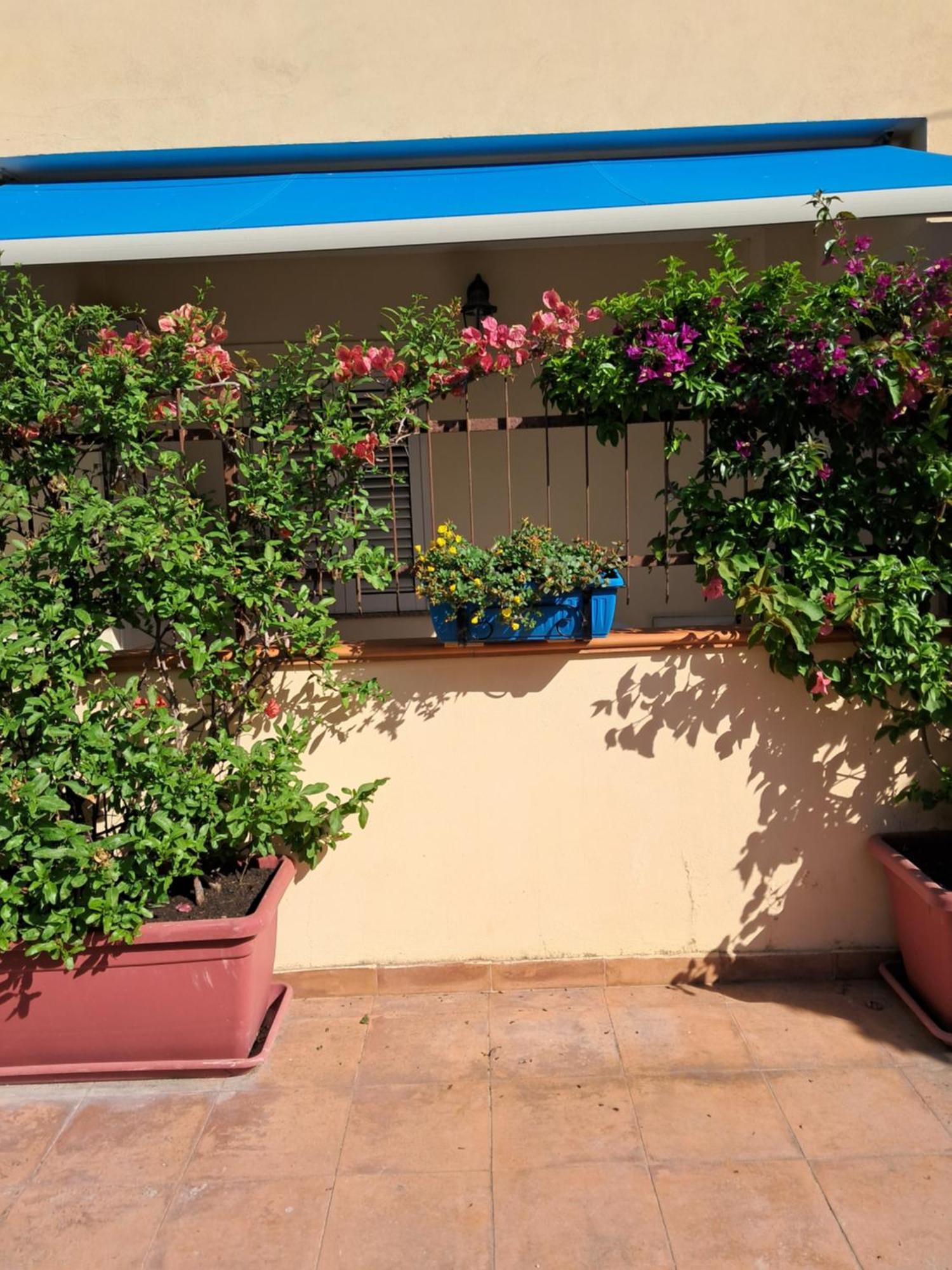טרופאה My Little House - Appartamento Con Patio E Parcheggio Privato A 5 Minuti Dalla Spiaggia E Dal Centro מראה חיצוני תמונה